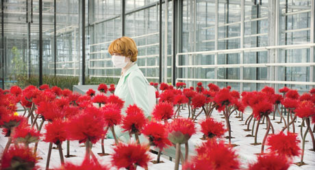 Alice (Emily Beecham) im Glashaus inmitten ihrer Schöpfung. © Filmladen Verleih