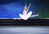 Liudmila Konovalova tanzt als Schwanenkönigin zu Peter Tschaikowskys Musik. © Wiener Staatsballett / Ashley Taylor r  