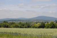 Blick von Bad Soden aus auf den Taunus. Pepsi liebt die Natur, die Wiesen, die Bäume und die Berge. © wikipedia