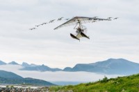 Bevor den jungen Gänsen in Norwegen die Flügel gestutzt werden, ergreift Thomas die Flucht, die Gänse folgen ihm zurück nach Frankreich. 