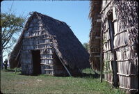 Nachbau eines Dorfes der Taino, der ausgestorbenen Bevölkerung der Karibik, auch Aycayia ist vor gut 1000 Jahren als Taino geboren. © Kari  Giv von Koerber / wiki freel